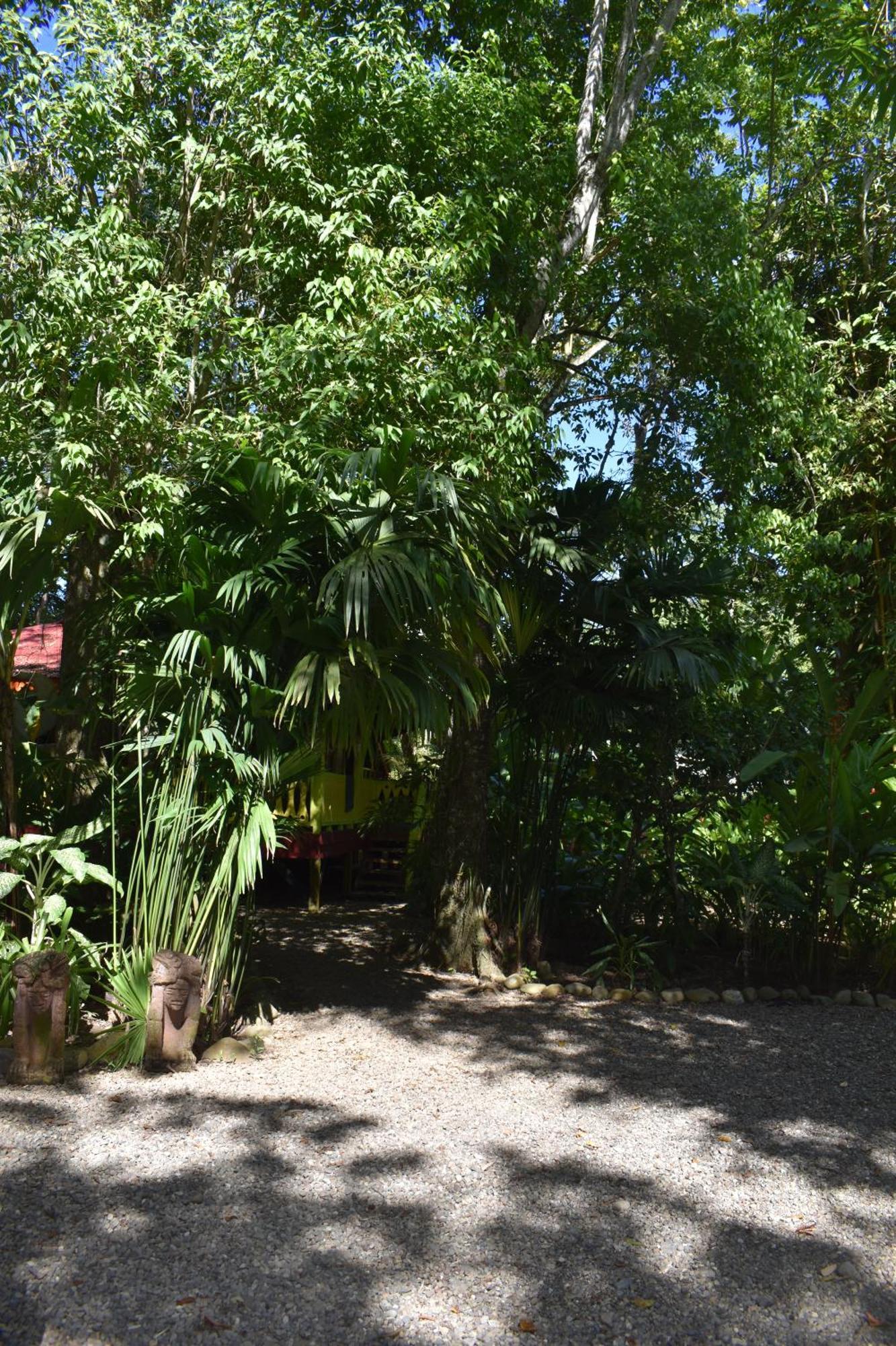 El Jardin De Playa Negra Villa Puerto Viejo de Talamanca Exteriör bild