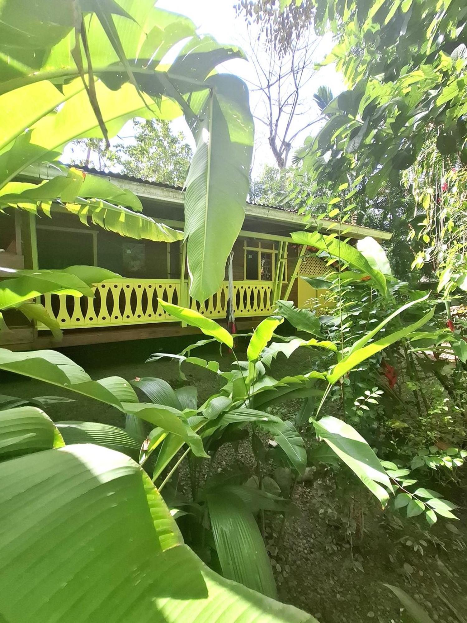 El Jardin De Playa Negra Villa Puerto Viejo de Talamanca Exteriör bild