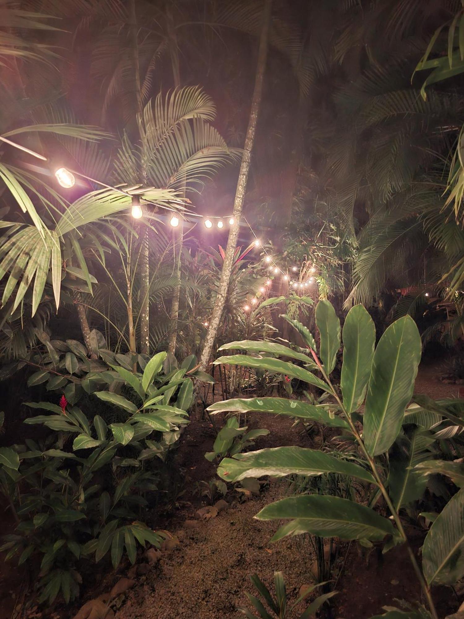 El Jardin De Playa Negra Villa Puerto Viejo de Talamanca Exteriör bild