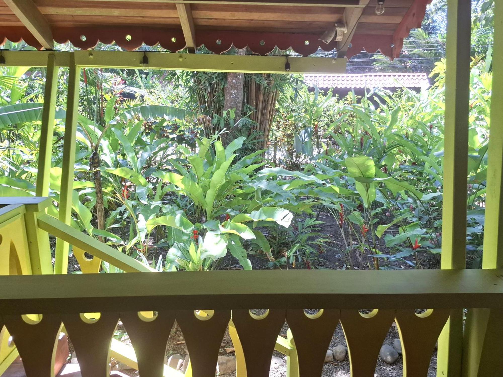 El Jardin De Playa Negra Villa Puerto Viejo de Talamanca Exteriör bild