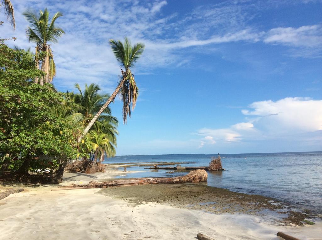 El Jardin De Playa Negra Villa Puerto Viejo de Talamanca Exteriör bild